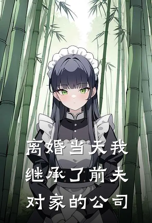 离婚当天我继承了前夫对家的公司