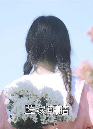 苏小姐，你老公掉了优秀文集