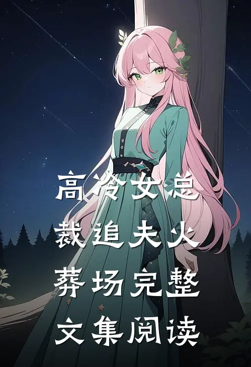 高冷女总裁追夫火葬场完整文集阅读