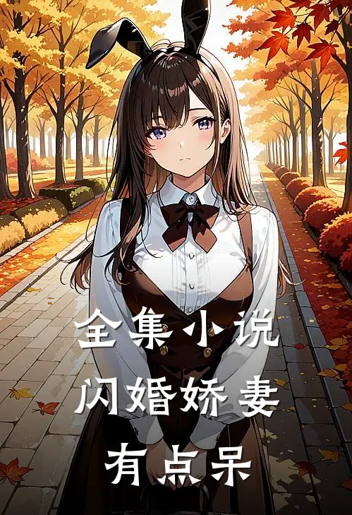 全集小说闪婚娇妻有点呆