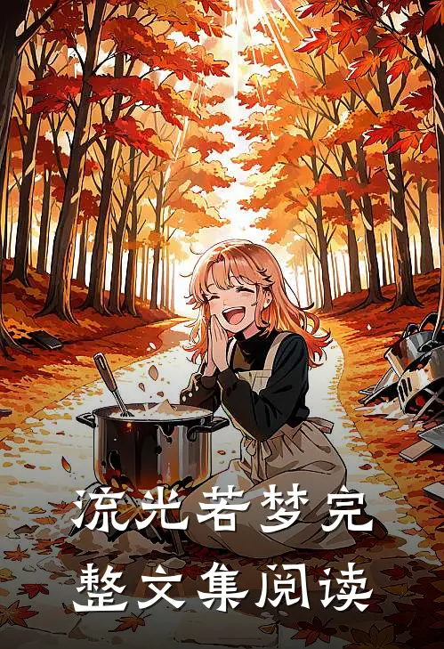 流光若梦完整文集阅读