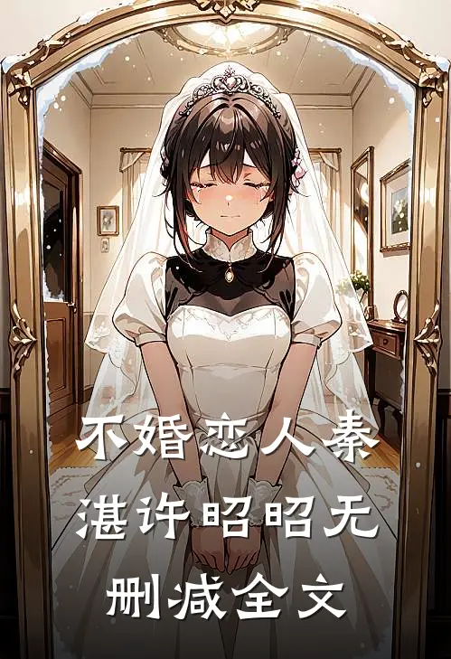 不婚恋人秦湛许昭昭无删减全文