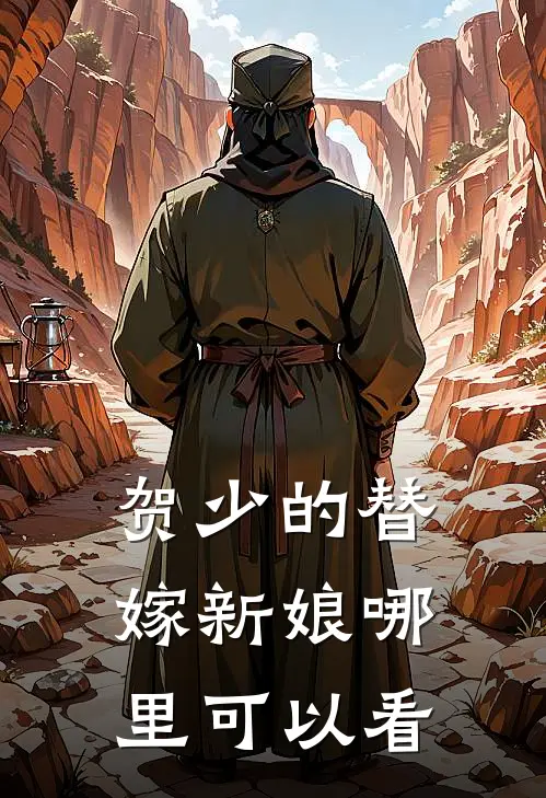 贺少的替嫁新娘女主角有几个