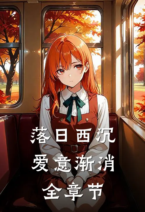 落日西沉,爱意渐消全章节免费阅读
