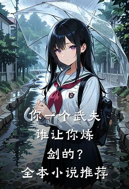 你一个武夫,谁让你炼剑的?全本推荐一下