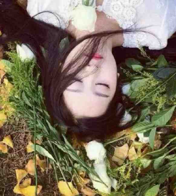 精品春棠欲醉