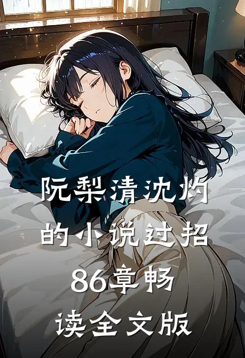 阮梨清沈灼的小说过招86章畅读全文版