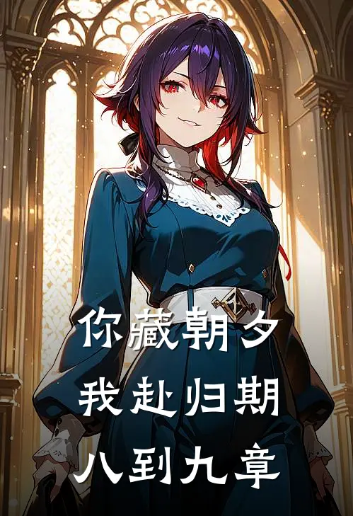 你藏朝夕，我赴归期八到九章