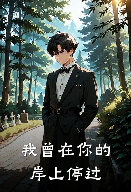 我曾在你的岸上停过