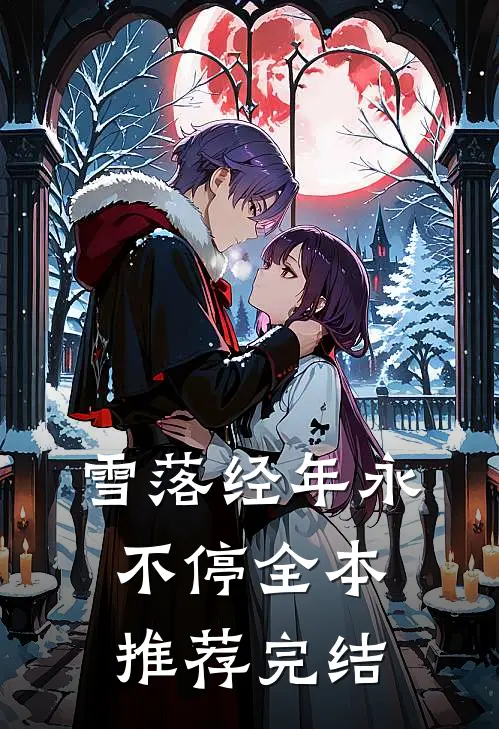 雪落经年永不停全本推荐完结