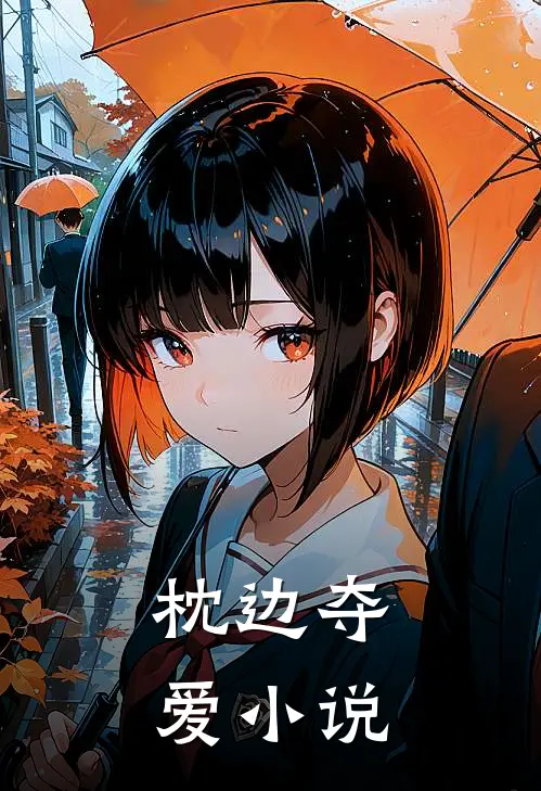 枕边夺爱小说