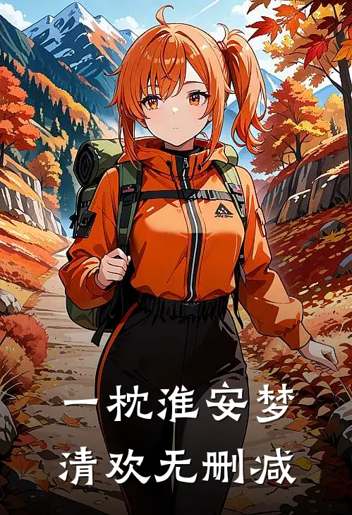 一枕淮安梦清欢无删减
