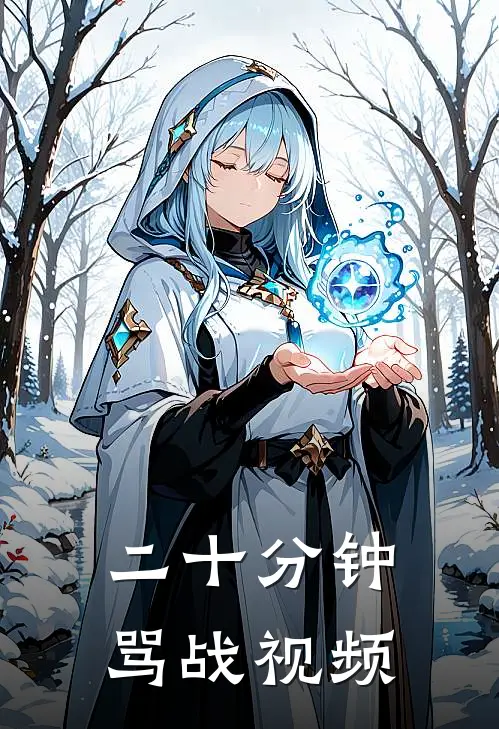 二十分钟骂战视频