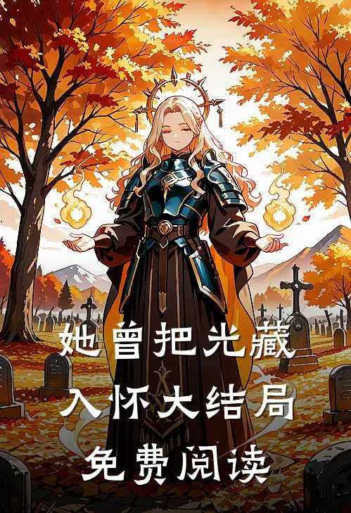 她曾把光藏入怀大结局免费阅读