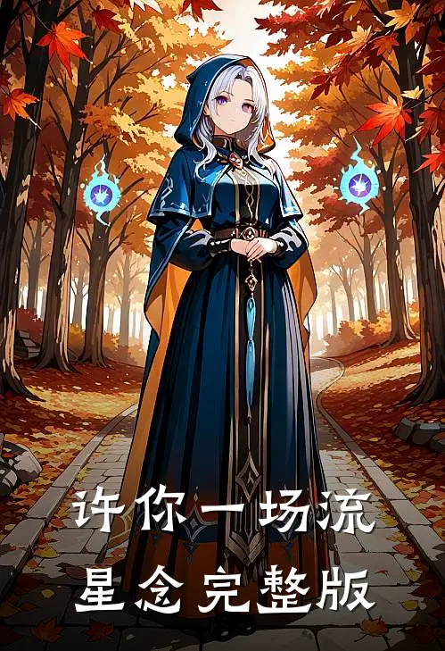 许你一场流星念完整版