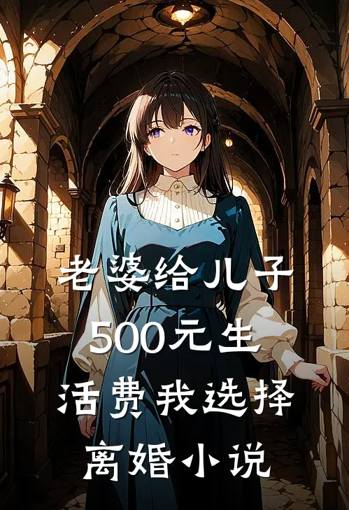 老婆给儿子500元生活费我选择离婚小说