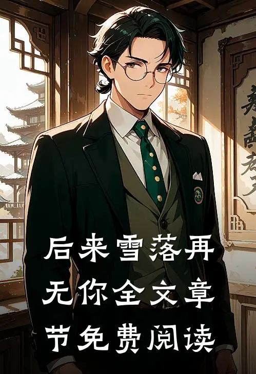 后来雪落再无你全文章节免费阅读