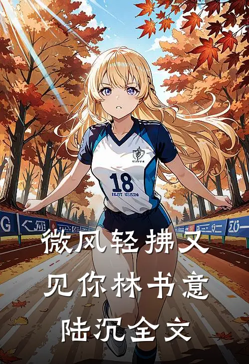 微风轻拂又见你林书意陆沉全文