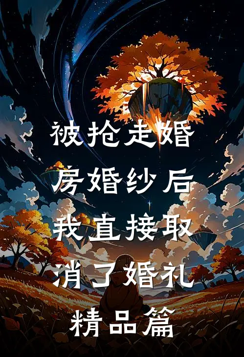 被抢走婚房婚纱后，我直接取消了婚礼精品篇