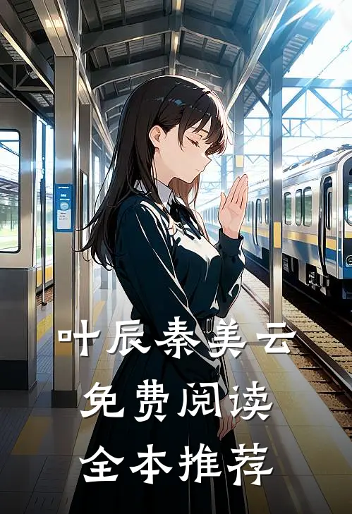 叶辰秦美云免费阅读全本推荐