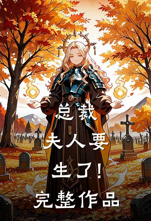 总裁,夫人要生了!完整作品