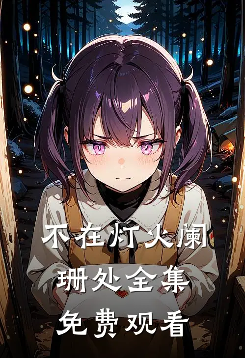 不在灯火阑珊处全集免费观看