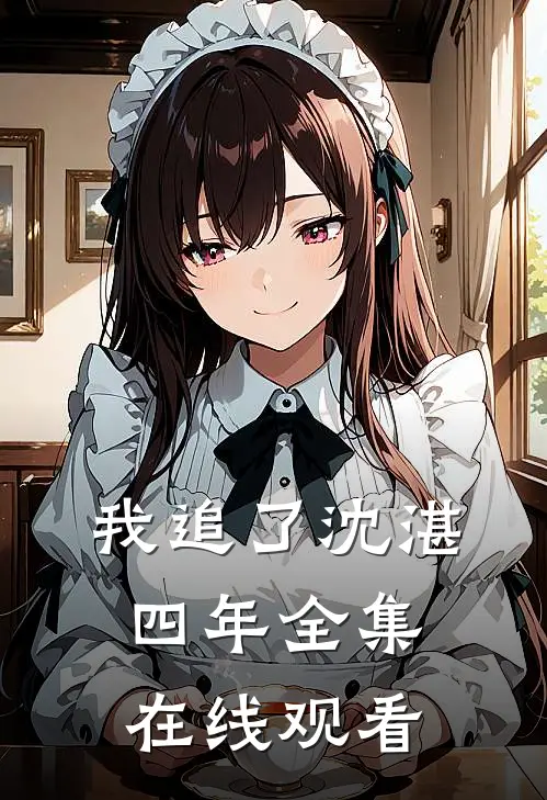 我追了沈湛四年全集在线观看
