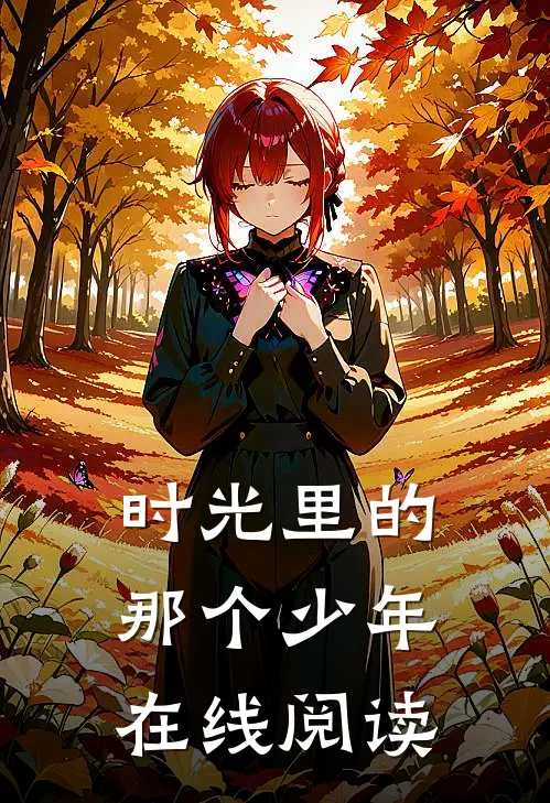 时光里的那个少年在线阅读
