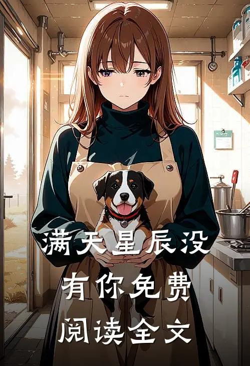 满天星辰没有你免费阅读全文