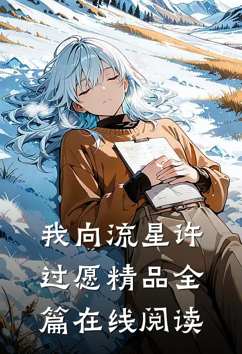 我向流星许过愿精品全篇在线阅读