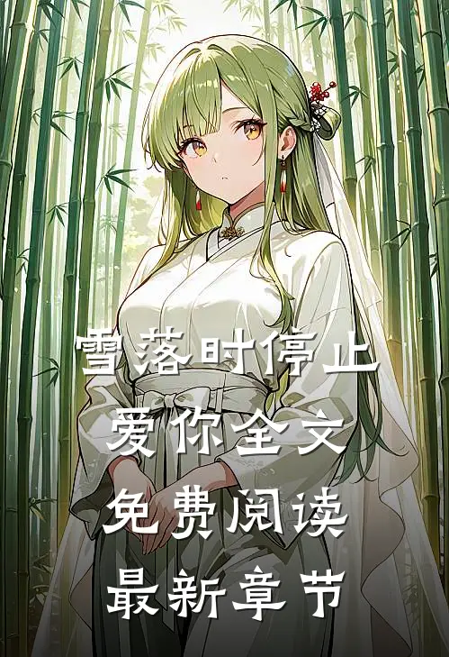 雪落时停止爱你全文免费阅读最新章节
