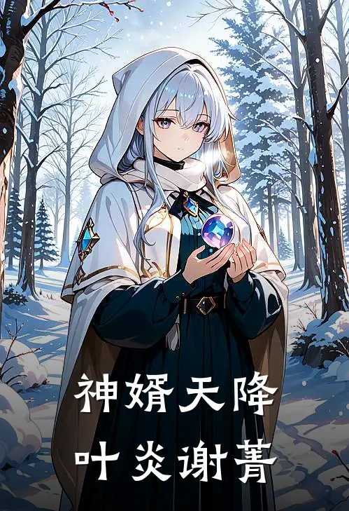 神婿天降叶炎谢菁