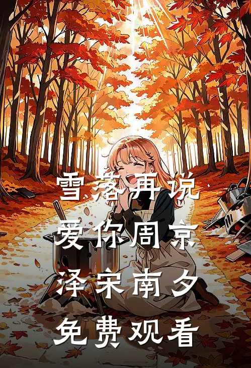 雪落再说爱你周京泽宋南夕免费观看