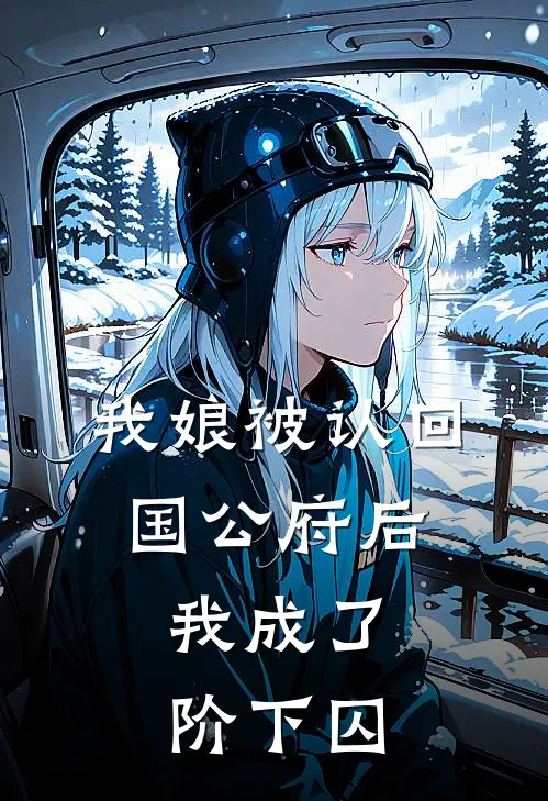 我娘被认回国公府后,我成了阶下囚