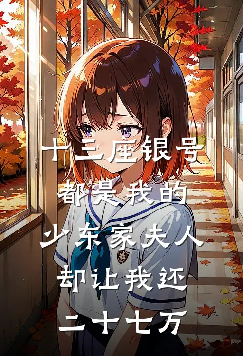 十三座银号都是我的,少东家夫人却让我还二十七万结局
