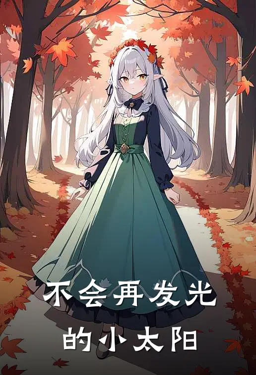 不会再发光的小太阳免费阅读