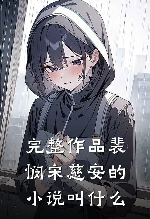 完整作品裴悯宋慈安的小说叫什么