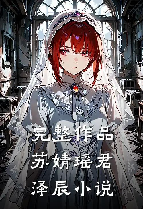 完整作品苏婧瑶君泽辰小说
