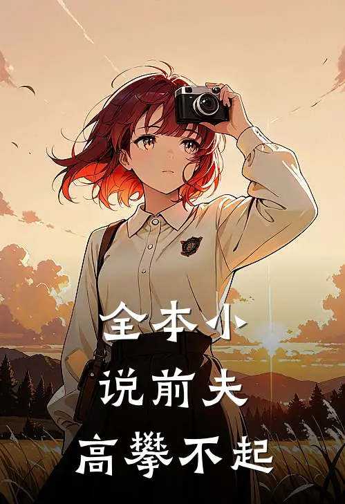 全本前夫,高攀不起的