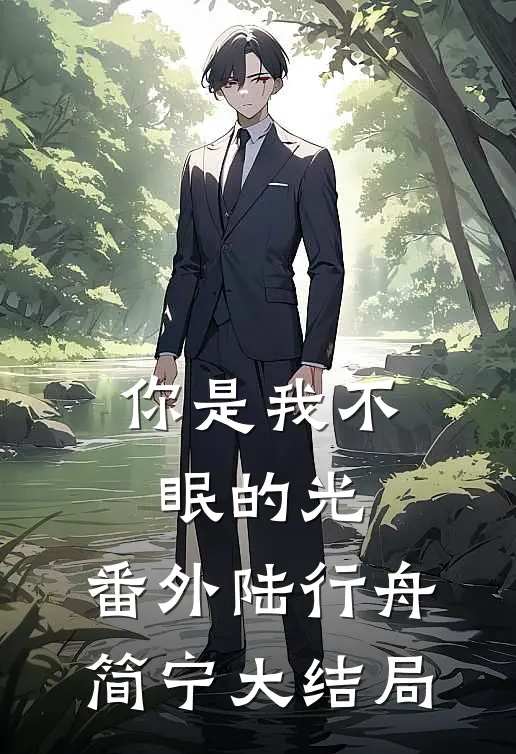 你是我不眠的光： 番外陆行舟简宁大结局