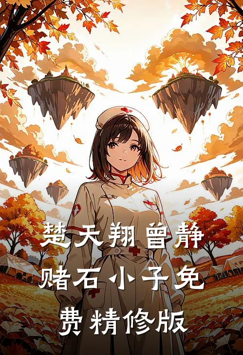 楚天翔曾静赌石小子免费精修版