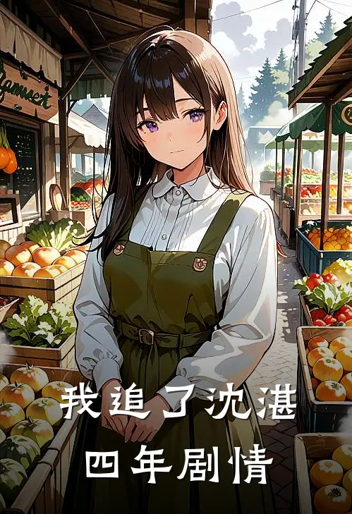 我追了沈湛四年剧情