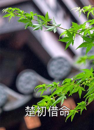 皇帝信了我所有的谎话，却偏偏不信唯一的真话爆火全网