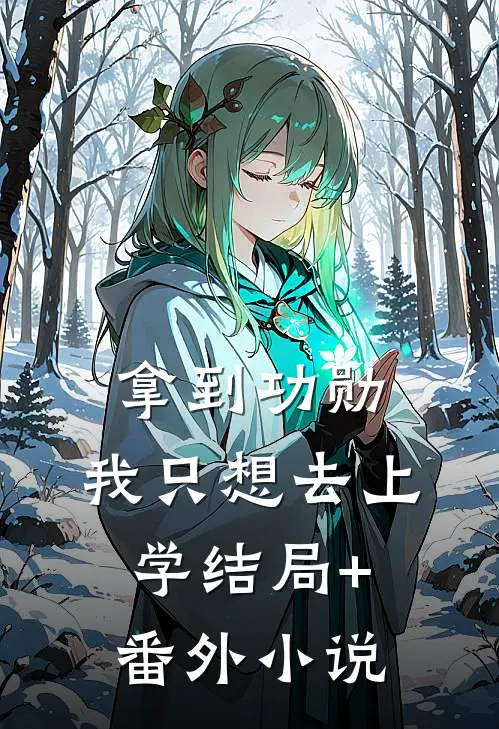 拿到功勋，我只想去上学结局+番外小说