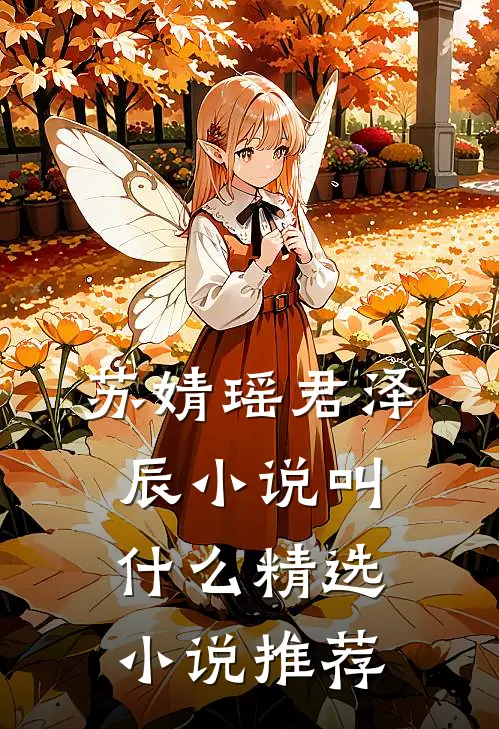 苏婧瑶君泽辰小说叫什么精选小说推荐