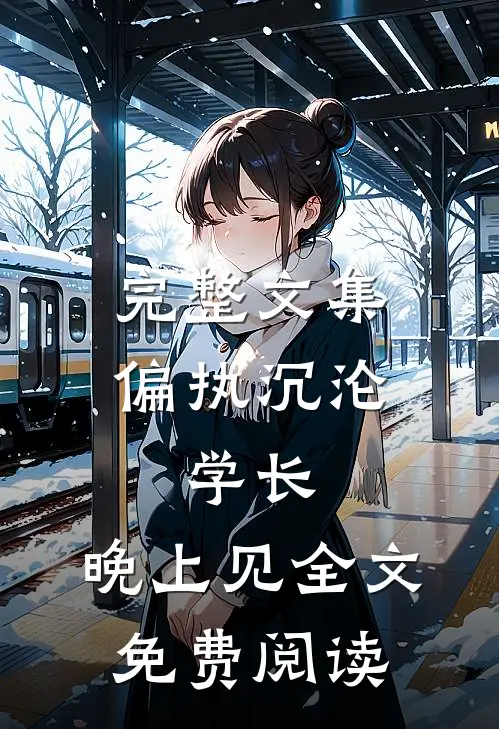 完整文集偏执沉沦:学长,晚上见全文免费阅读