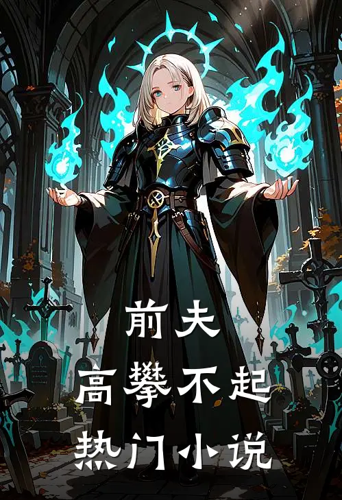 前夫，高攀不起热门小说
