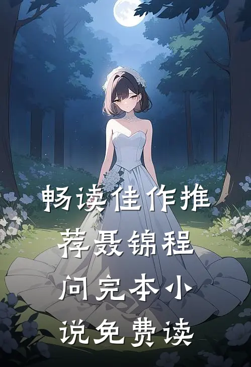 畅读佳作推荐聂锦程问完本小说免费读