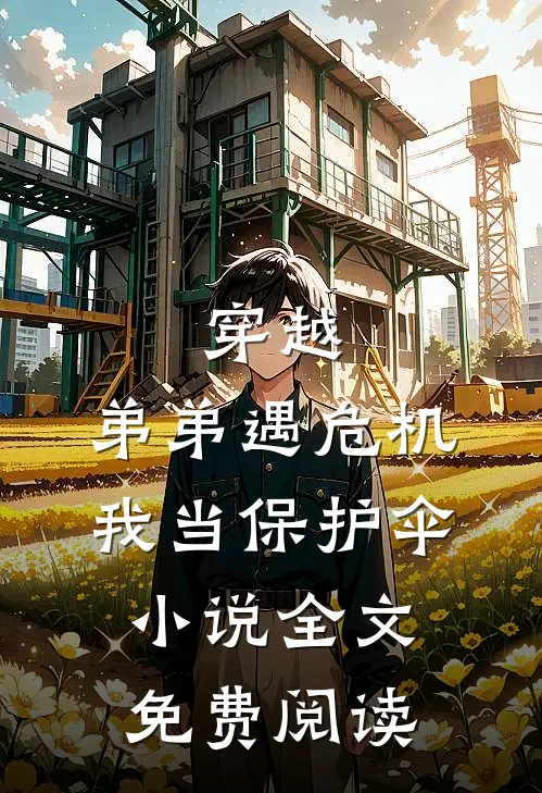 穿越弟弟遇危机,我当保护伞全文免费阅读笔趣阁