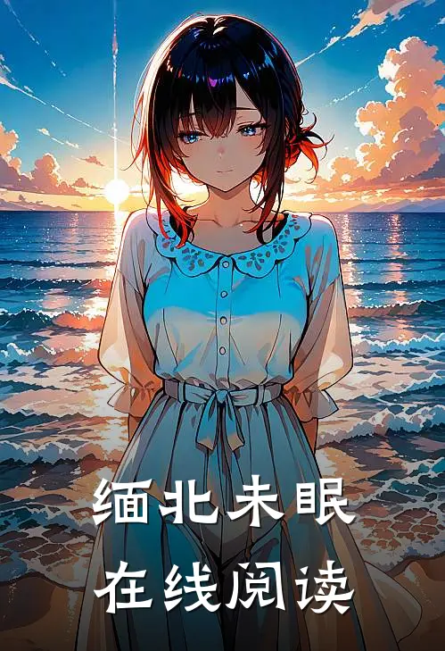 缅北未眠在线阅读
